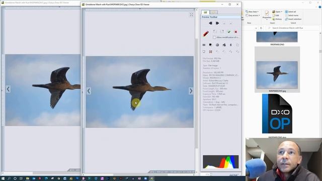 How to use multi-windows with Chasys Draw Image Viewer to compare your photos смотреть онлайн