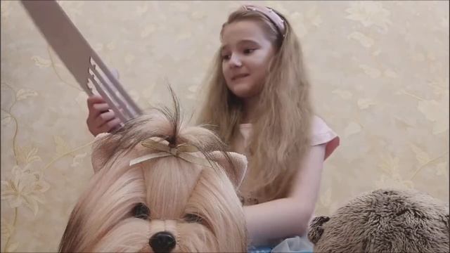 Собачка Lucky Doggy • обзор • ❤️ смотреть онлайн