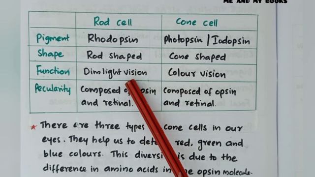 Class 10 Biology - Chapter 2: Windows of knowledge Easy Notebook (English medium) SSLC SCERT смотреть онлайн