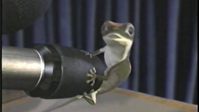 1999 Geico Gecko Commercial смотреть онлайн
