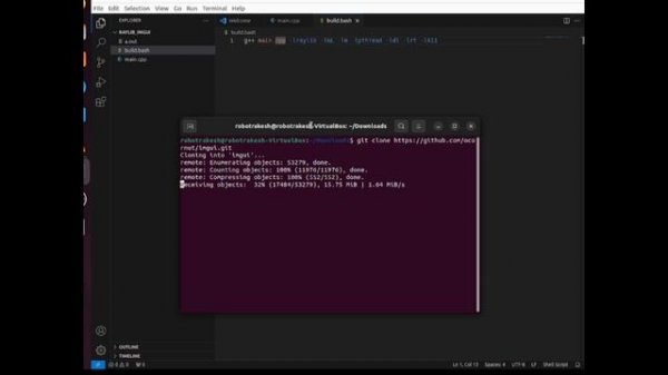 ImGui in Raylib Linux(Ubuntu) installation with Visual Studio c++