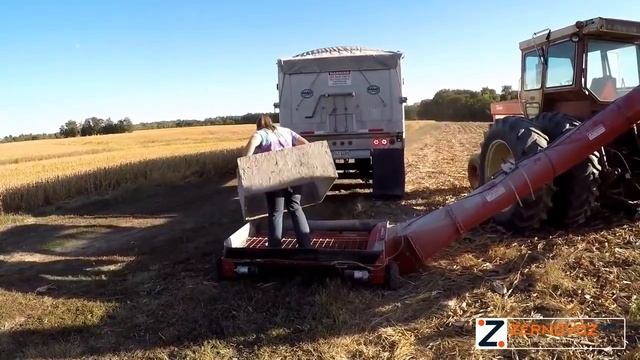 Процесс погрузки зерна с помощью мобильного погрузчика смотреть онлайн