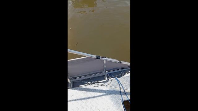 Самодельный моторный катамаран 2023