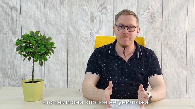 12 мифов о клопах. Миф №12 Потравить клопов самостоятельно дешевле, чем вызывать службу дезинфекции