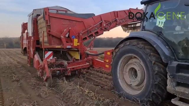 DokaGene. Уборка картофеля смотреть онлайн