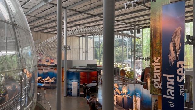 California Academy of Sciences - Renzo Piano Building Workshop - San Francisco смотреть онлайн