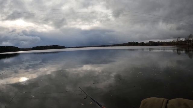 Пошел на плотву а ловил окуней спиннингом с берега на отводной поводок. С каждого заброса окунь. смотреть онлайн