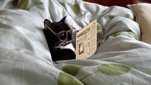 Играю в Tanks Blits смотреть онлайн