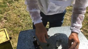 500+ Вывод ранних маток + защита.