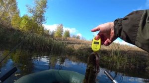 Наконец-то Удача! Осенняя Рыбалка на спиннинг и кружки.