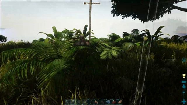ARK SURVIVAL EVOLVED :- The Island :- TAME OUR FIRST PTERANODON ||EP15 || OneClue Gaming смотреть онлайн