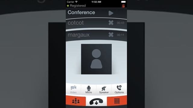 Linphone audio conferencing смотреть онлайн