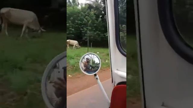 Open top Jeep ride смотреть онлайн