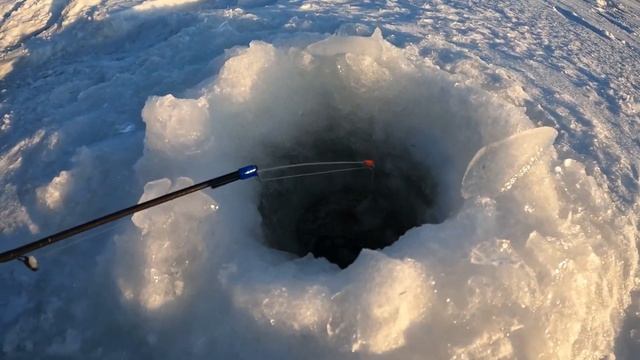 Ещё две рыбалки на берша в январе. Зимняя рыбалка на Волге. смотреть онлайн