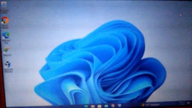 Windows 11 startup animated wallpaper смотреть онлайн