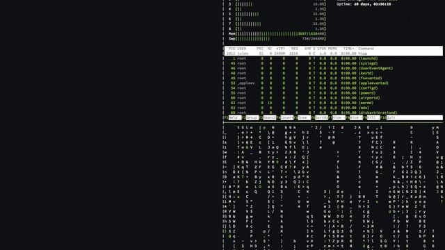 A quick tour of my terminal (iTerm2, zsh, vim lines, tmux, lolcat, and more) смотреть онлайн