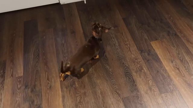 Jam-Packed Vlog: Lashes, Secret Cinema and Nimbus. смотреть онлайн