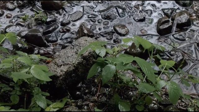 comparison | nokia 5.4 cinema mode vs nokia 5.4 h-log rec 709 | ozo audio | android 12 смотреть онлайн