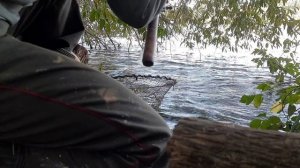 Рекордная РЫБА сезона. Карповая рыбалка. ТРОФЕЙ