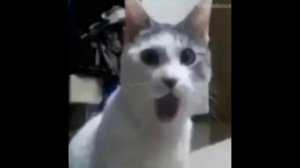 Ня Аригато(Phonk Remix)