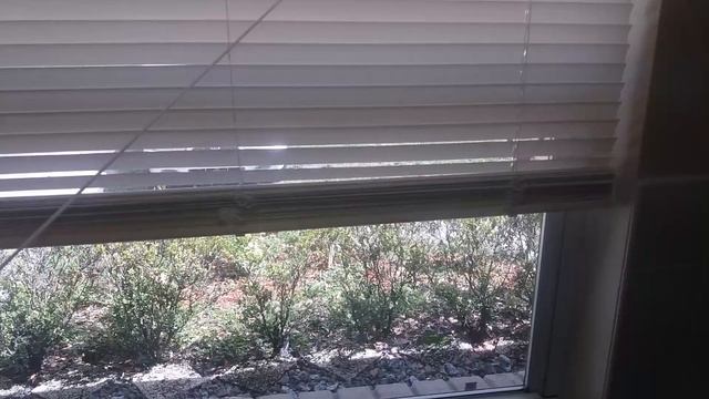 How to open and close window blinds. смотреть онлайн