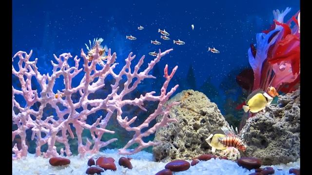 Aquarium HD - XBOX Live смотреть онлайн