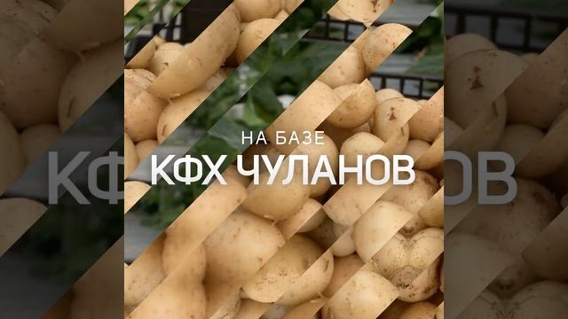 DokaGene смотреть онлайн