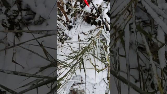 Поймал щучку, и решил отпустить. смотреть онлайн