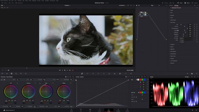 Dehancer Pro gives you the Film Look смотреть онлайн
