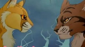 Клип КВ ~Звездоцап и Златошейка~