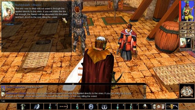 Neverwinter Nights Enhanced Edition Chapter 2 BoddyKnock's Tale & Neverwinter Wood Druid Encampment смотреть онлайн