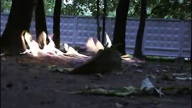 pocket pc destruction смотреть онлайн