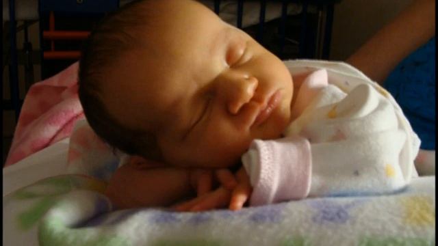 A Lilybugs Life смотреть онлайн