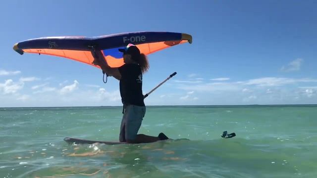 Part two of wing in the wind window смотреть онлайн