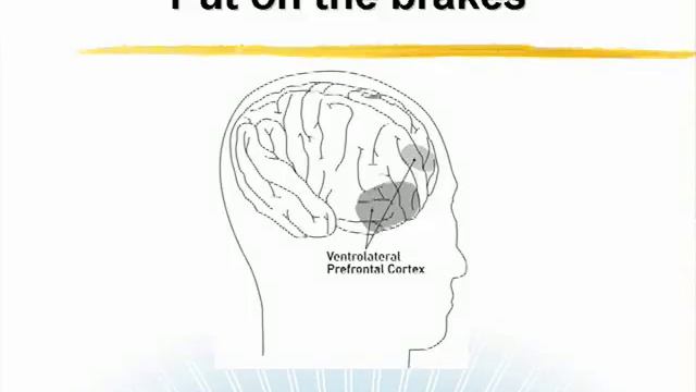 Your Brain at Work смотреть онлайн