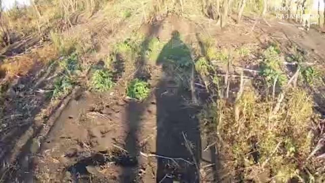 ⚡️СВО 18+ Боевые будни казачьей бригады «Сибирь»: неожиданные налёты на врага смотреть онлайн