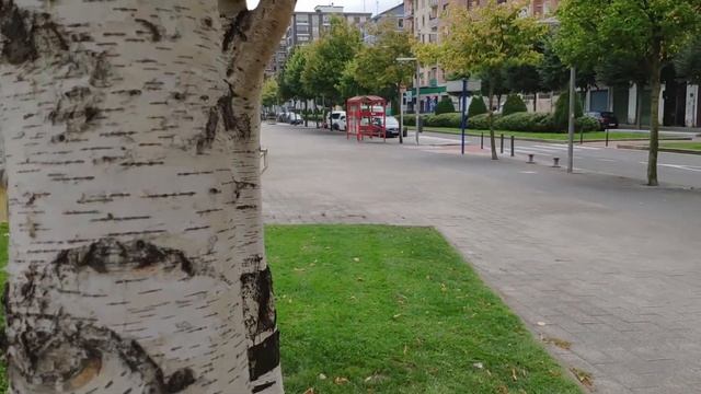 Test enfoque cámara Xiaomi Mi Mix 2S смотреть онлайн