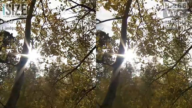 H.266 (VVC) 1080p Video Sample смотреть онлайн
