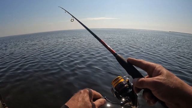 Отличный солнечный день с рыбалкой на Волге. Теперь нужно найти окуня. Нашел! Спиннинг, твистер. смотреть онлайн