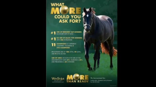 More Than Ready Tribute смотреть онлайн