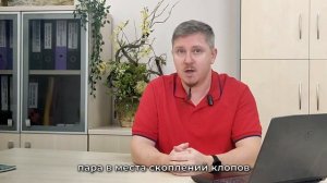 Парогенератор против клопов: эффективное решение или миф