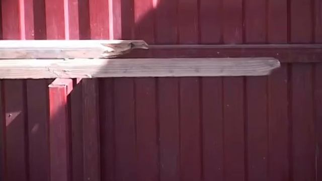 Новозыбковцы искали хозяина остановочного комплекса через редакцию смотреть онлайн