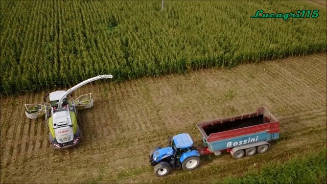 TRINCIATO MAIS 2017/CLAAS JAGUAR 980-2x Visini Tetra 4 assi-GRUPPO PEA смотреть онлайн