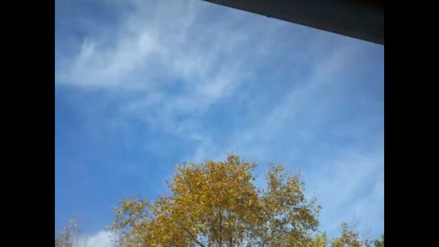 Time-Lapse Test using Camera Zoom FX for Android 10-23-2011 смотреть онлайн