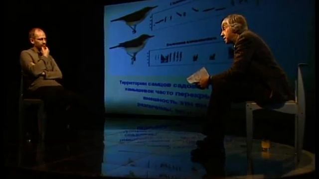 265  Коммуникация у птиц