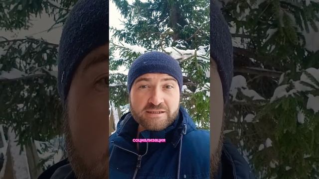 О чём на самом деле сказка Колобок. Подробнее в клубе осознанности https://vk.com/wall4252347_5216 смотреть онлайн