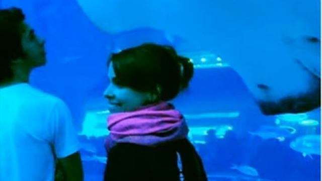 AVENIDA BRASIL ROMANCE ENTRE DEBORA FALABELLA Y MURILO BENICIO смотреть онлайн