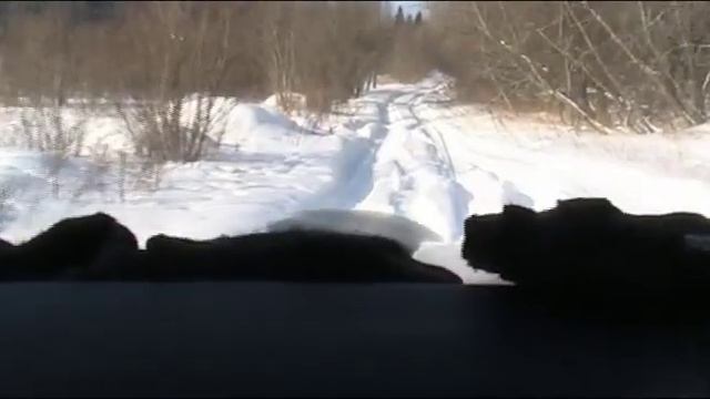 как преодолеть распиленный мост управляя Discovery3.avi