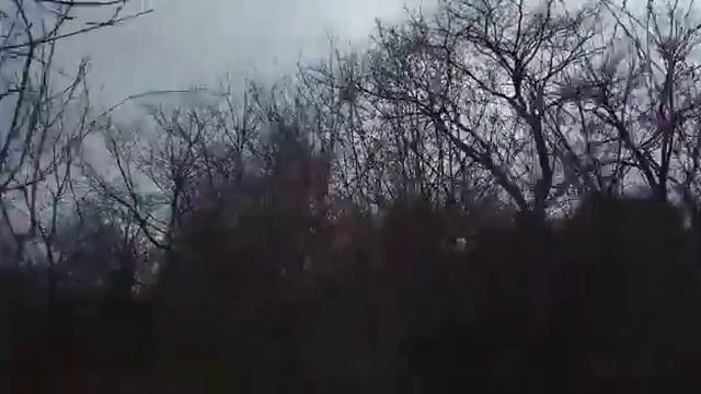 Мои воспоминания и прогулка с Жулей . смотреть онлайн