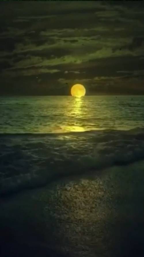 Не жалейте ... смотреть онлайн